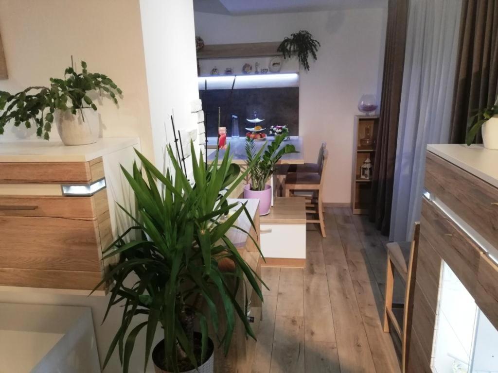 Galeria Stastie Διαμέρισμα Senec Εξωτερικό φωτογραφία