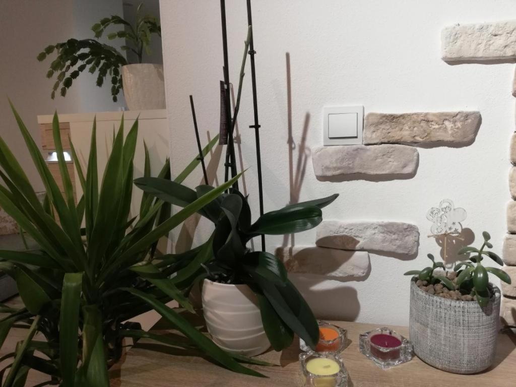 Galeria Stastie Διαμέρισμα Senec Εξωτερικό φωτογραφία