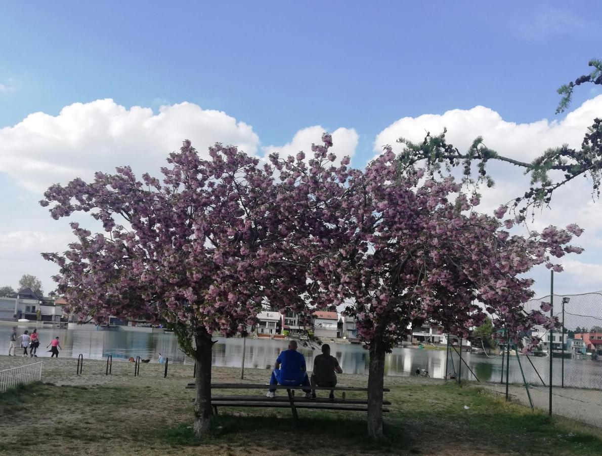 Galeria Stastie Διαμέρισμα Senec Εξωτερικό φωτογραφία